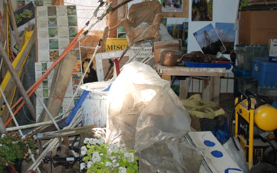 Tackle Your Messy Basement Cleanouts Effortlessly - Bumble Junk